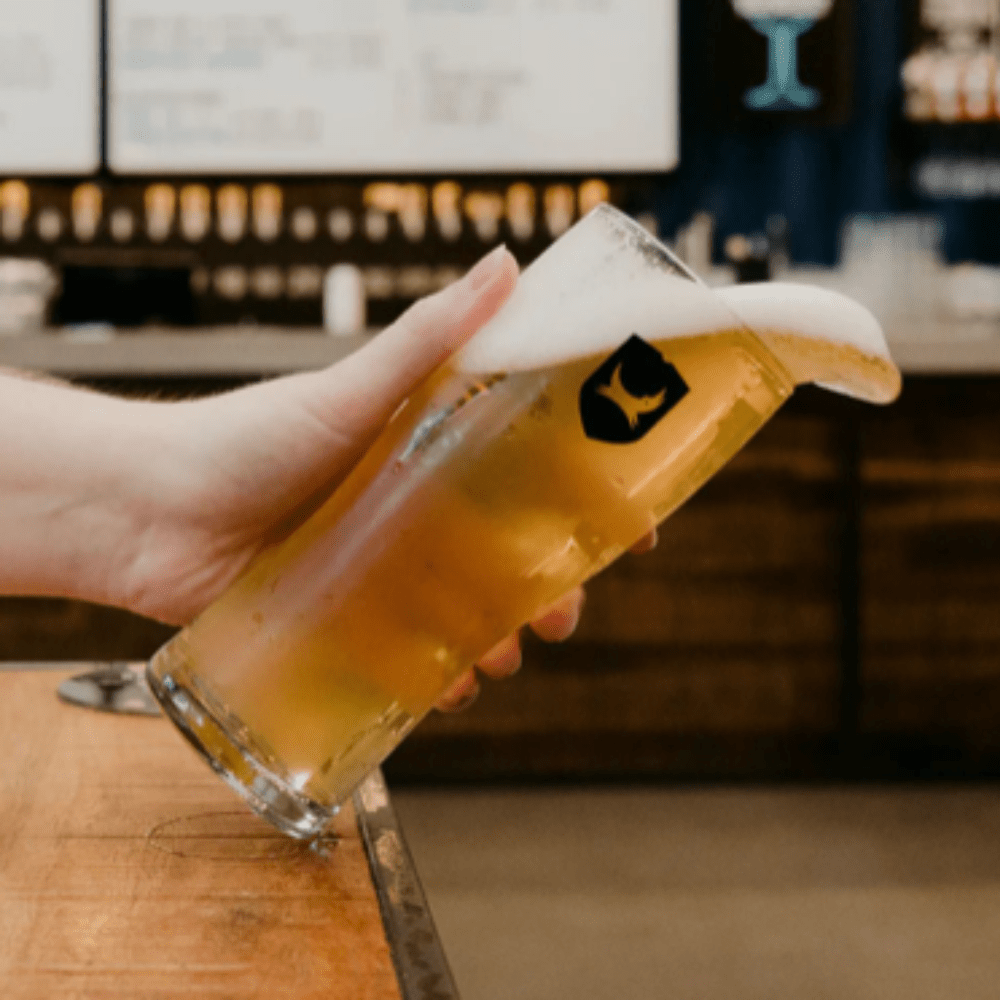 Brewdog “Designated Driver” Non - Alcoholic Mixed Beer Box (12) | BrewDog | Craftzero