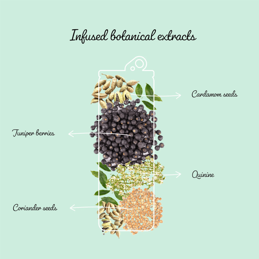 Clever Mocktails Non Alcoholic Gin & Tonic 355ml | Clever Mocktails | Craftzero