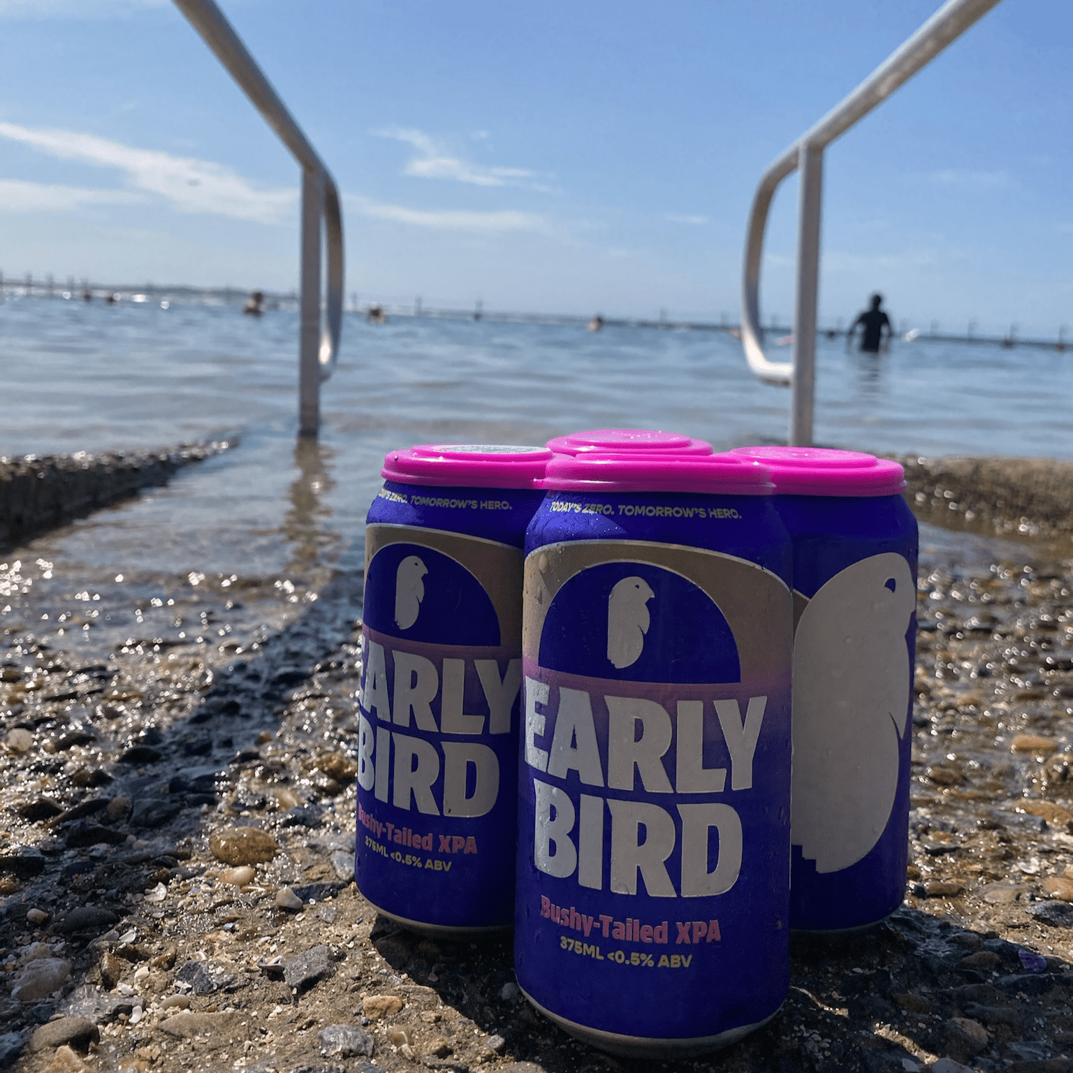 Earlybird Bushy - Tailed XPA 375mL | EarlyBird | Craftzero