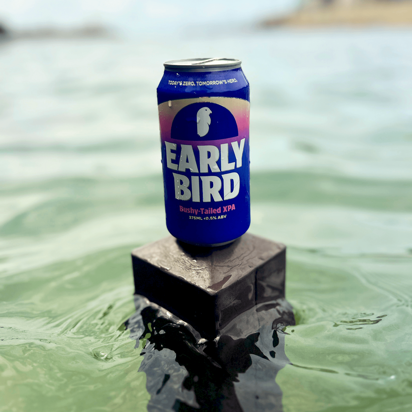 Earlybird Bushy - Tailed XPA 375mL | EarlyBird | Craftzero