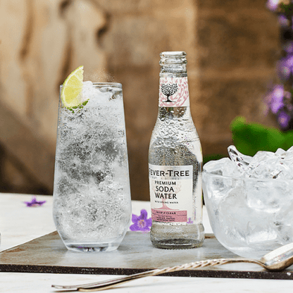 Fever-Tree Premium Soda Water 200ml - Fever-Tree - Craftzero