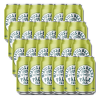 Hiatus Beers Non - Alcoholic Pale Ale 375ml | Hiatus Beers | Craftzero