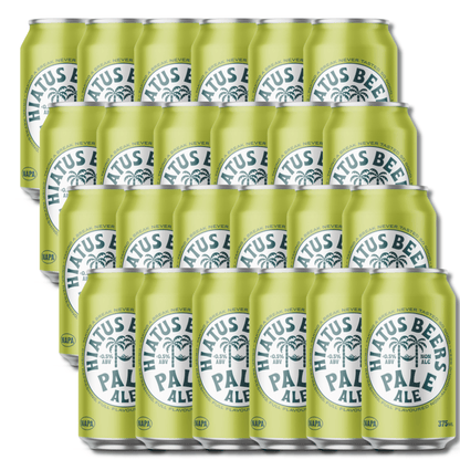 Hiatus Beers Non-Alcoholic Pale Ale 375ml - Hiatus Beers - Craftzero