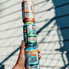 iOTA Non - Alcoholic Mixed Pack - 12x355ml | Phillips Brewing & Malting Co | Craftzero