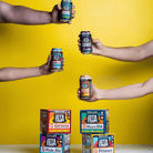 iOTA Non - Alcoholic Mixed Pack - 12x355ml | Phillips Brewing & Malting Co | Craftzero