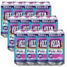 iOTA Non - Alcoholic Pale Ale Craft Beer 355ml | Phillips Brewing & Malting Co | Craftzero