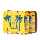 Lightning Minds Pale Ale 330mL | Lightning Minds | Craftzero