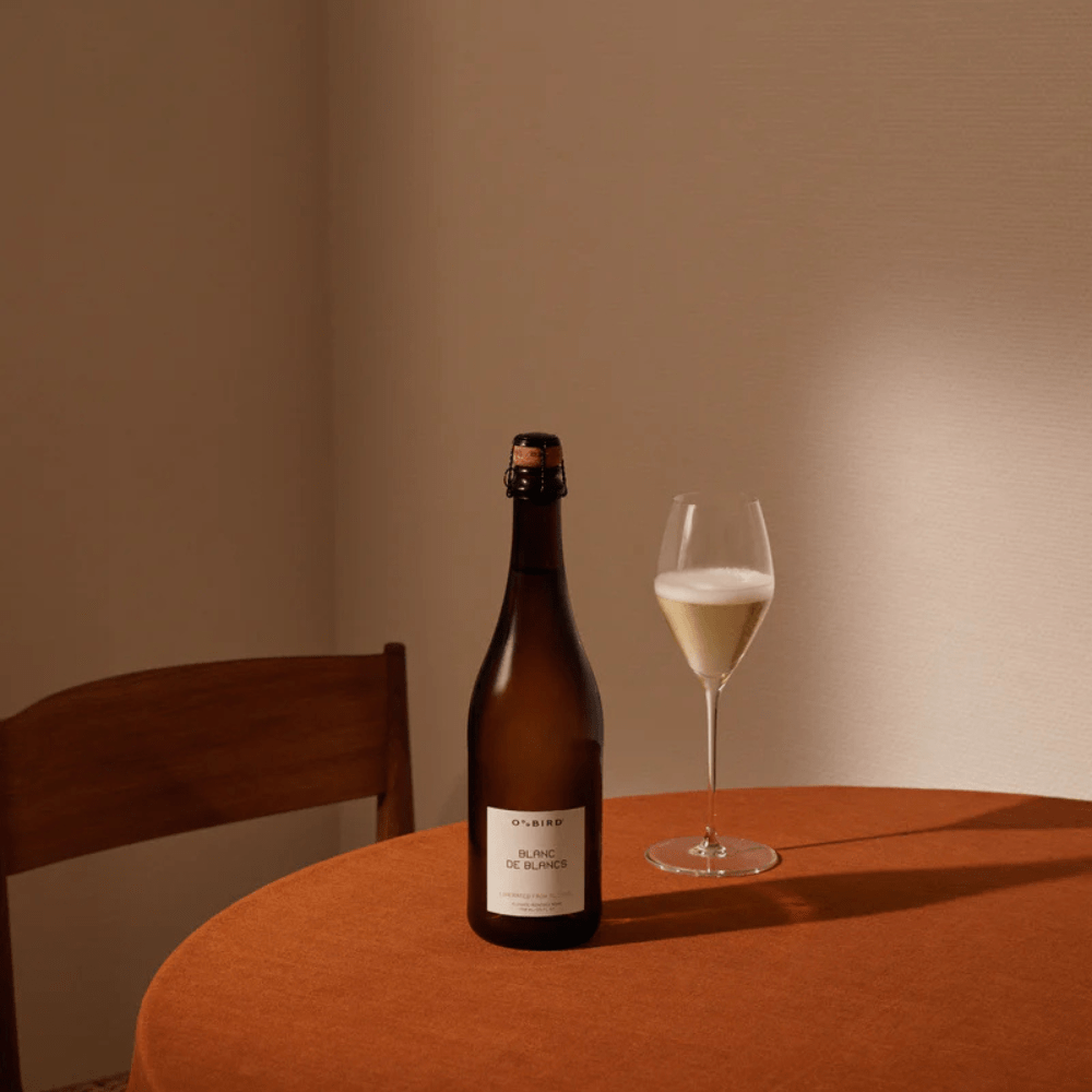 Odd Bird Blanc de Blancs Sparkling White 750ml - Odd Bird - Craftzero