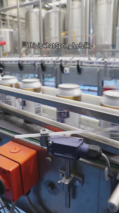 BrewDog Cerveza Especial Alcohol Free 375ml