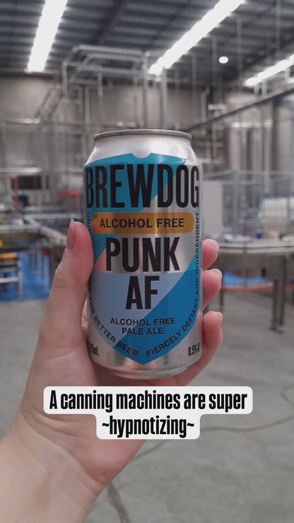 BrewDog Duo Bundle: Nanny State & Punk AF Non-Alcoholic Beers (16 Pack)