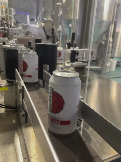 Dalman Street Non-Alcoholic Red Ale 375ml