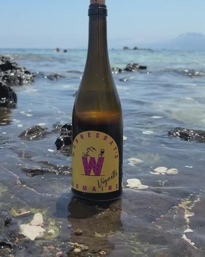 Wednesday’s Domaine Vignette - Alcohol-Free Still Red Wine - 750ml