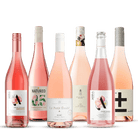 Rose Radiance: Premium Rose Collection (6 Pack) | Craftzero | Craftzero