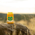Sierra Nevada Trail Pass Non - Alcoholic Golden 355ml | Sierra Nevada | Craftzero