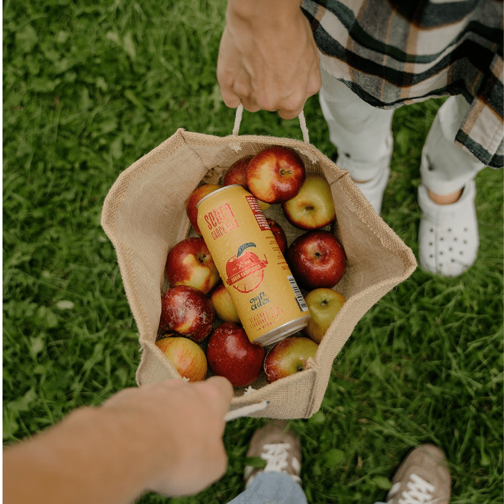 Sober Carpenter De-alocoholised Craft Cider 473ml - Sober Carpenter - Craftzero