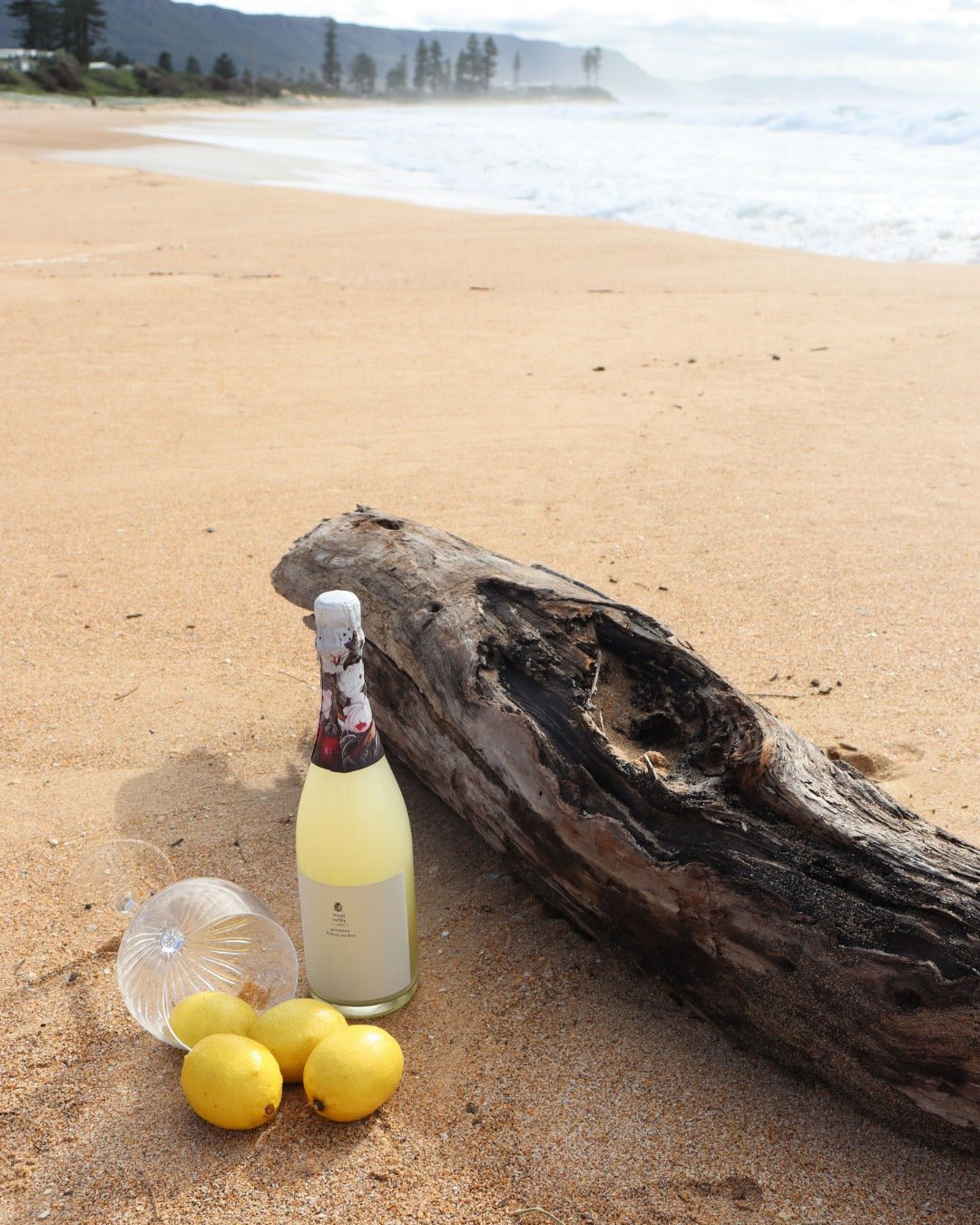 Tread Softly Everything Except Alcohol-Free Prosecco Lemon Sorbet 750mL - Tread Softly - Craftzero