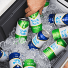 Yeah Nah Non Alcoholic XPA 375mL | Yeah Nah Beer | Craftzero