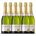 Barton & Guestier Alcohol-Free Sparkling 750mL - Barton & Guestier - Craftzero