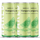 Naked Life Non Alcoholic Margarita 250mL - Naked Life - Craftzero